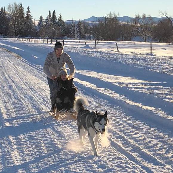 Meet your Posher, Karlee - Picture 1 of 1